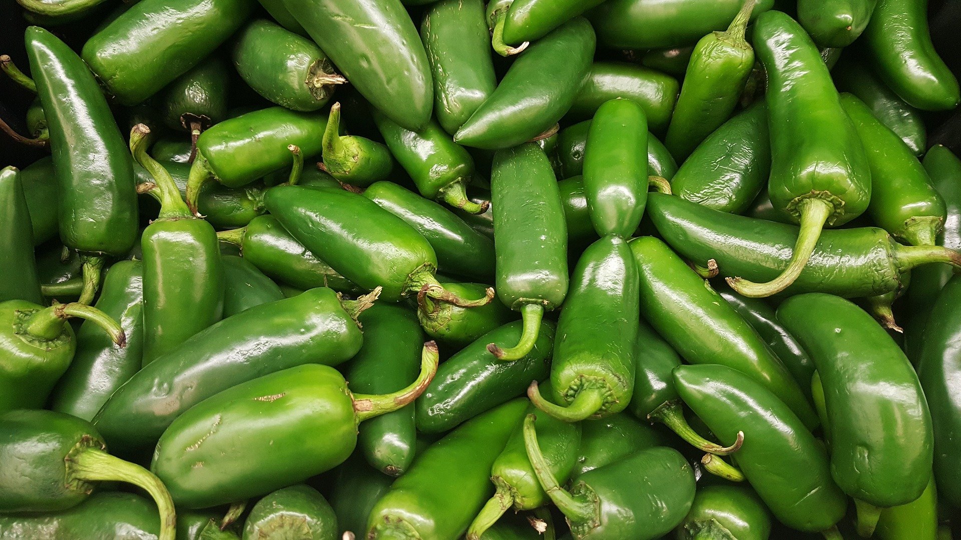 Green Chillies