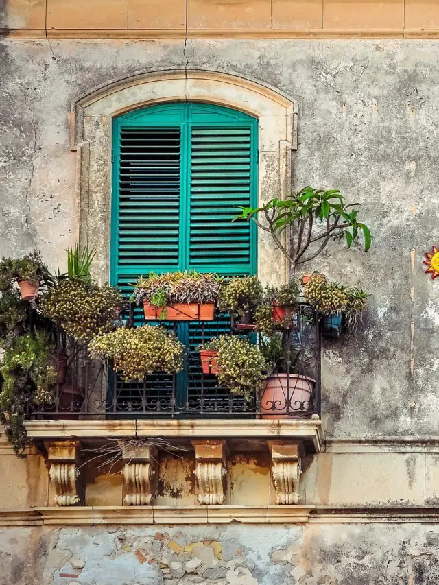 Top 11 Tips For Urban Balcony Gardening