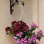 container gardening