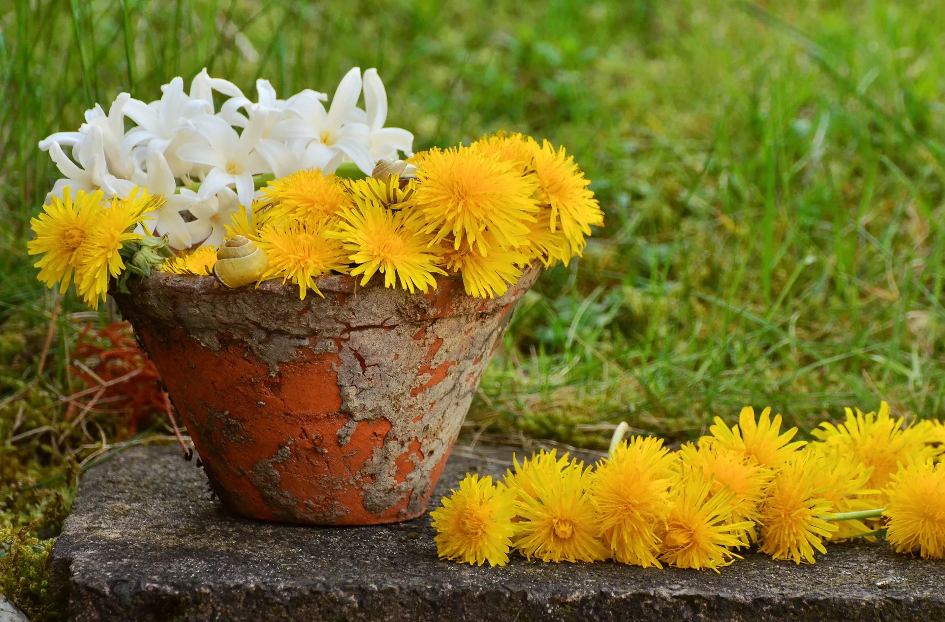 container gardening