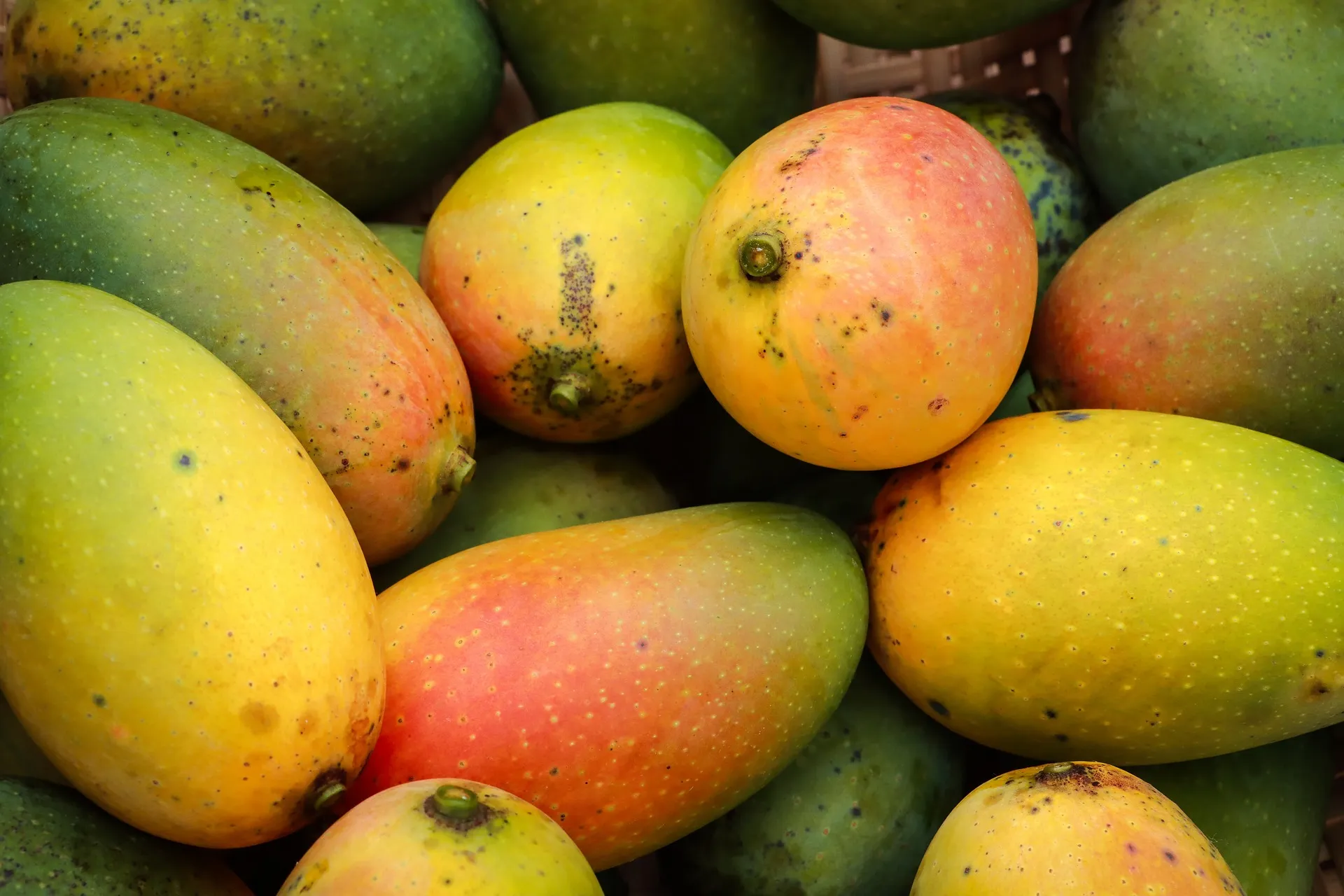 mangoes