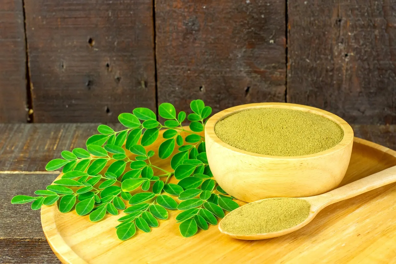 Moringa health benefits
