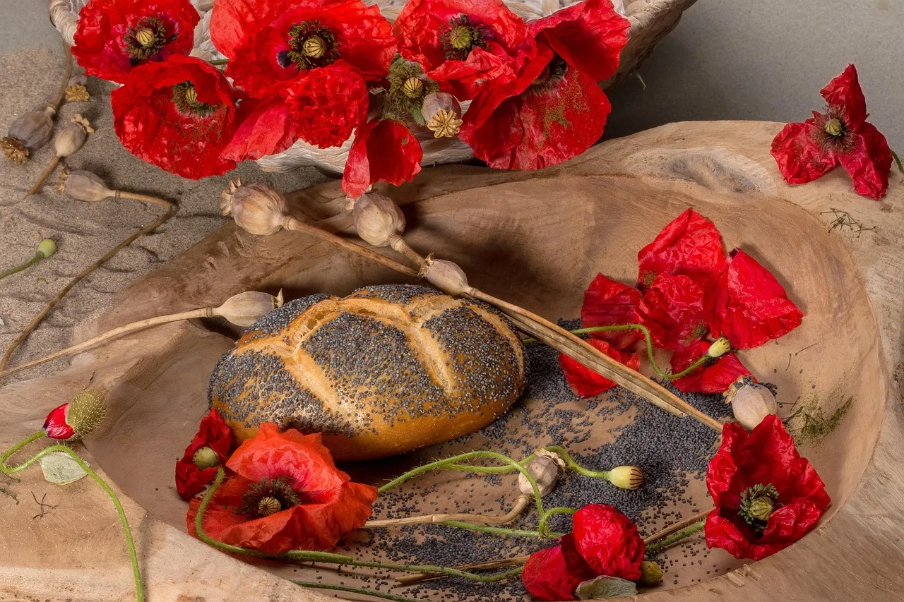 Poppy seed recipes
