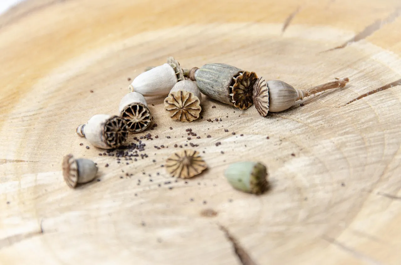 Health benefits of poppy seeds